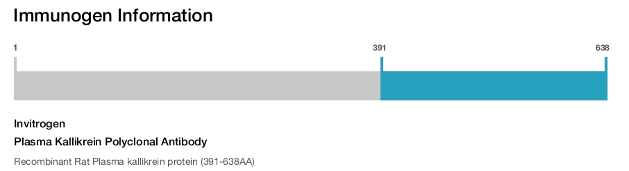 Plasma Kallikrein Polyclonal Antibody