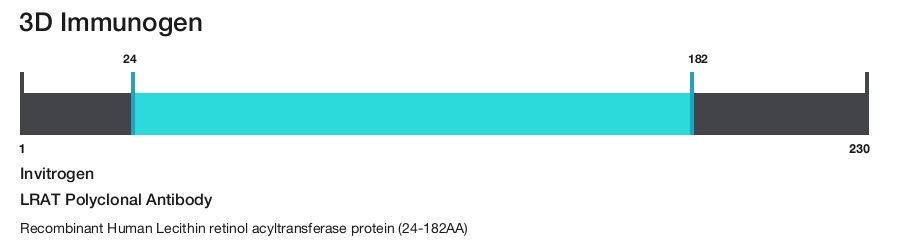LRAT Polyclonal Antibody
