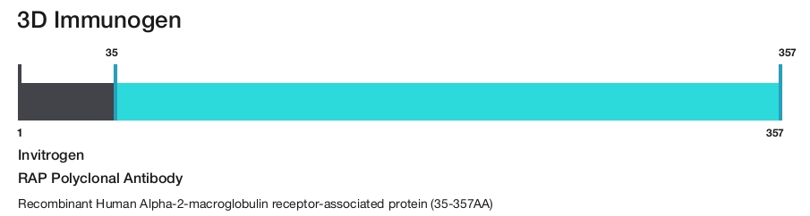 RAP Polyclonal Antibody