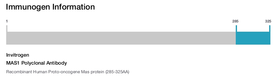 MAS1 Polyclonal Antibody