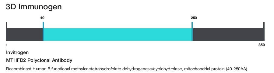 MTHFD2 Polyclonal Antibody