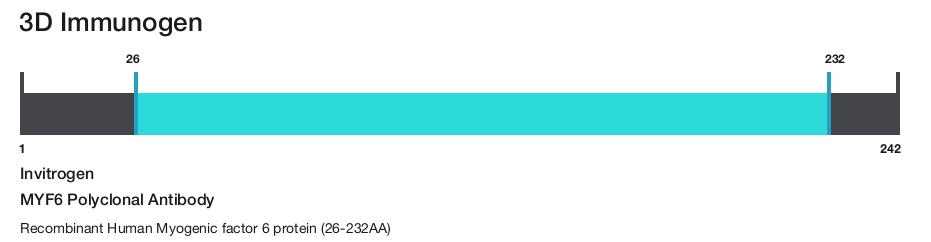 MYF6 Polyclonal Antibody