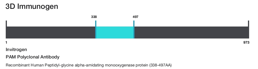PAM Polyclonal Antibody