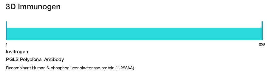 PGLS Polyclonal Antibody