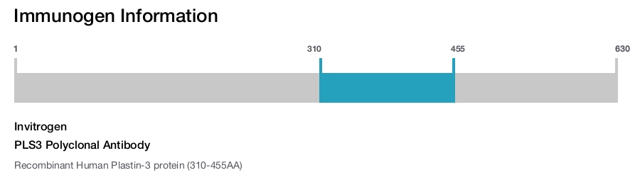 PLS3 Polyclonal Antibody