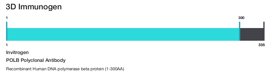 POLB Polyclonal Antibody