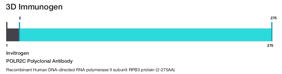 POLR2C Polyclonal Antibody