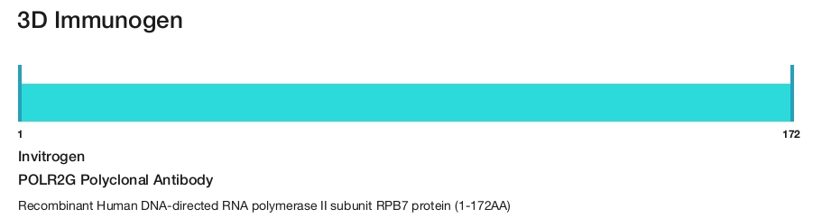 POLR2G Polyclonal Antibody