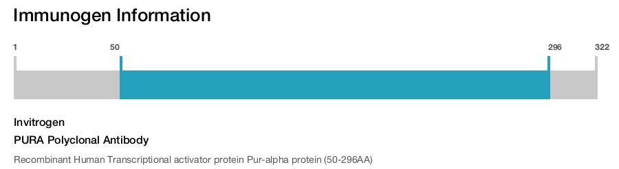 PURA Polyclonal Antibody