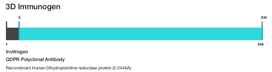 QDPR Polyclonal Antibody