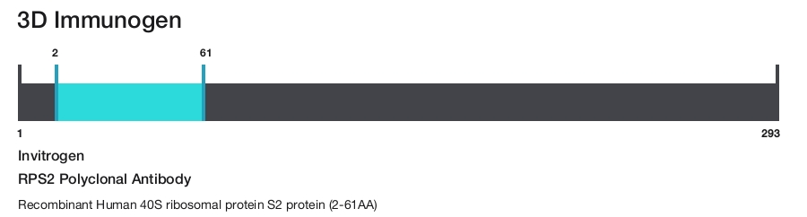 RPS2 Polyclonal Antibody