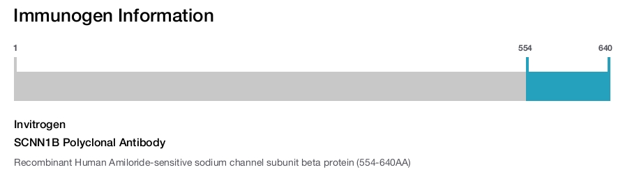 SCNN1B Polyclonal Antibody