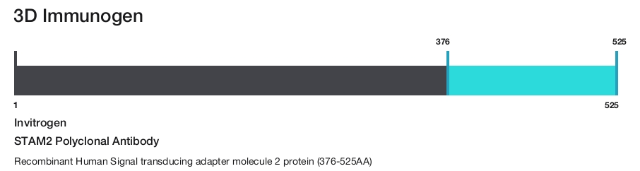 STAM2 Polyclonal Antibody