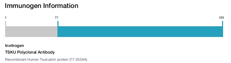 TSKU Polyclonal Antibody