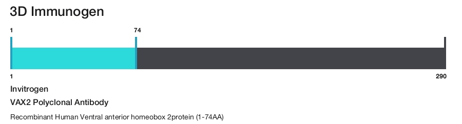 VAX2 Polyclonal Antibody