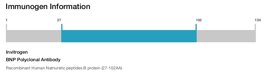 BNP Polyclonal Antibody