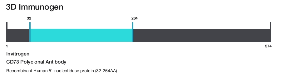 CD73 Polyclonal Antibody