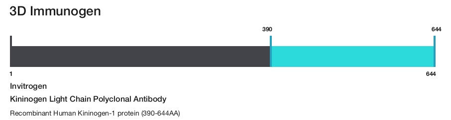 Kininogen Light Chain Polyclonal Antibody