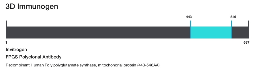FPGS Polyclonal Antibody