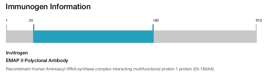 EMAP II Polyclonal Antibody