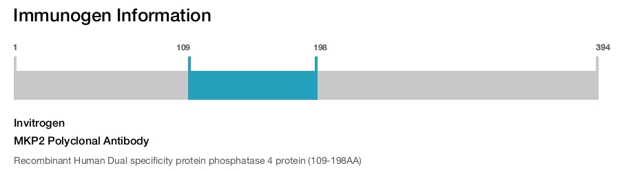 MKP2 Polyclonal Antibody