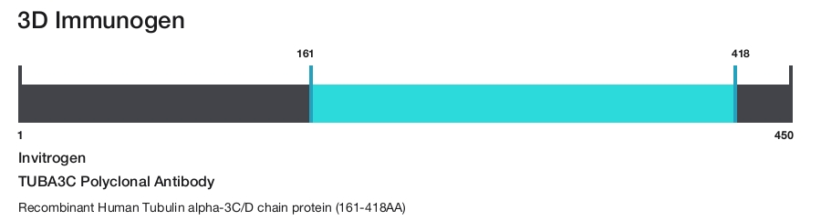 TUBA3C Polyclonal Antibody