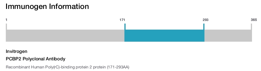 PCBP2 Polyclonal Antibody