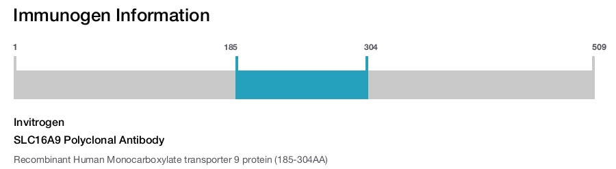 SLC16A9 Polyclonal Antibody