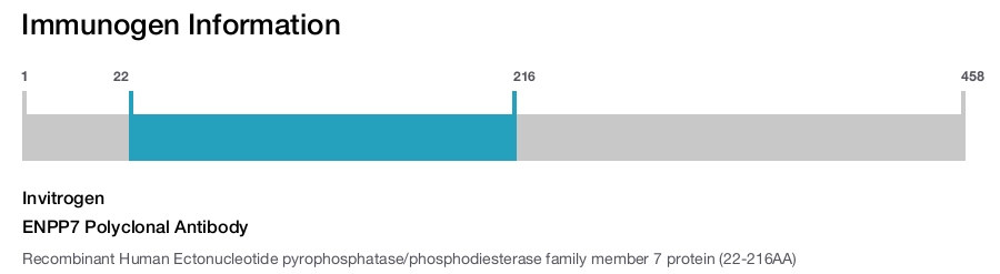 ENPP7 Polyclonal Antibody