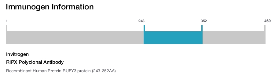 RIPX Polyclonal Antibody