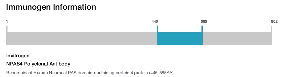 NPAS4 Polyclonal Antibody