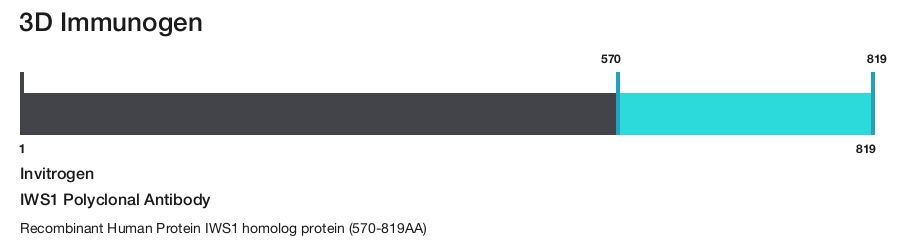 IWS1 Polyclonal Antibody