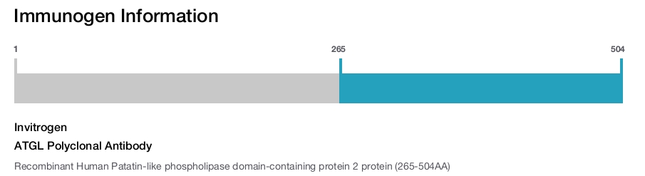 ATGL Polyclonal Antibody