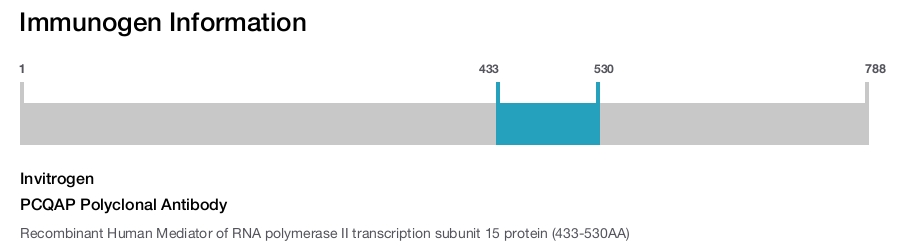 PCQAP Polyclonal Antibody