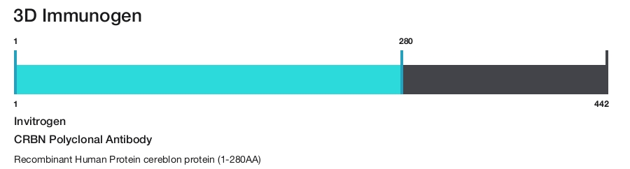 CRBN Polyclonal Antibody