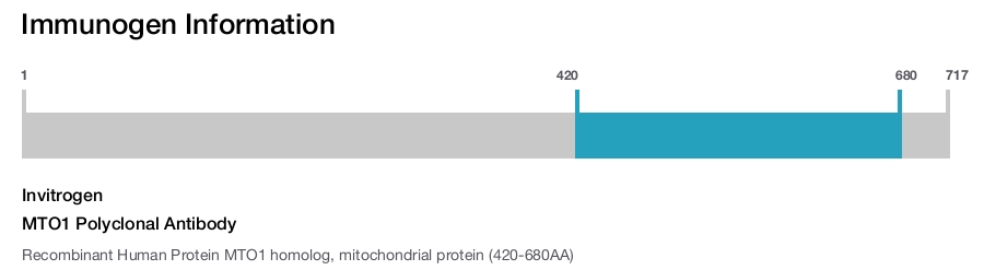 MTO1 Polyclonal Antibody
