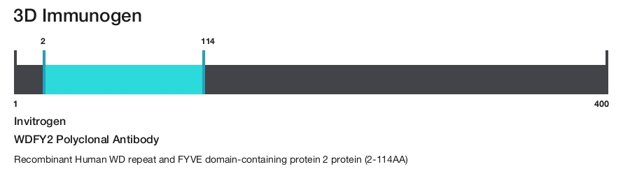 WDFY2 Polyclonal Antibody