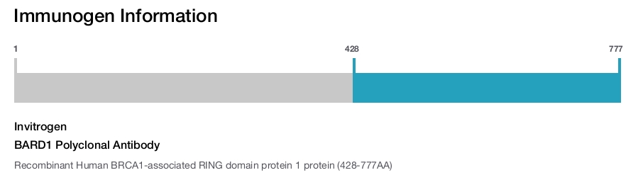 BARD1 Polyclonal Antibody