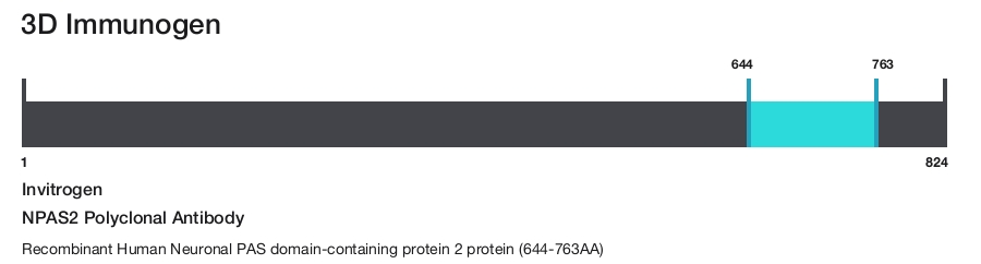 NPAS2 Polyclonal Antibody