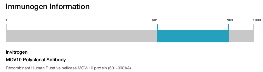MOV10 Polyclonal Antibody