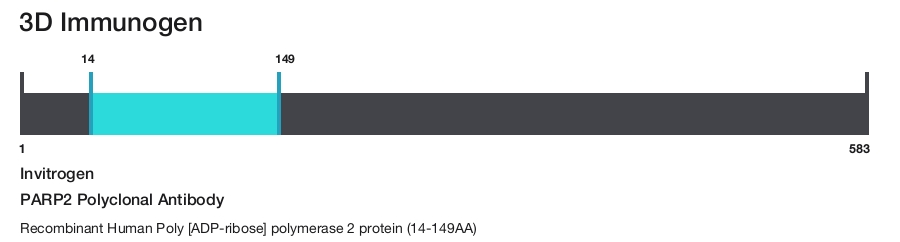 PARP2 Polyclonal Antibody