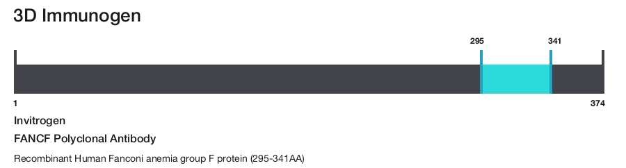 FANCF Polyclonal Antibody