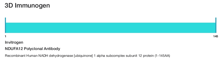 NDUFA12 Polyclonal Antibody