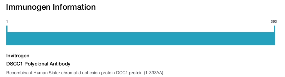 DSCC1 Polyclonal Antibody