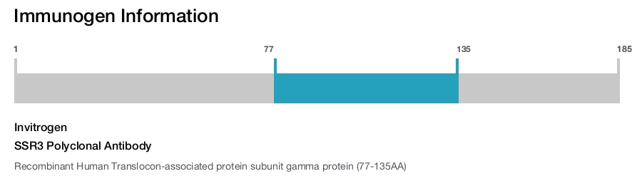 SSR3 Polyclonal Antibody