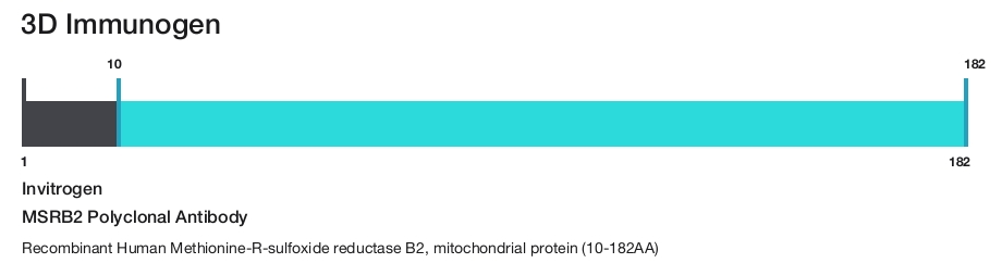 MSRB2 Polyclonal Antibody