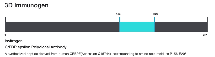 C/EBP epsilon Polyclonal Antibody