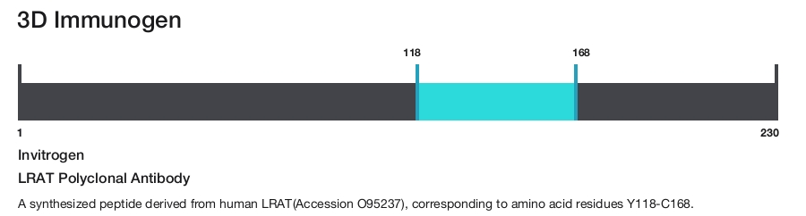 LRAT Polyclonal Antibody