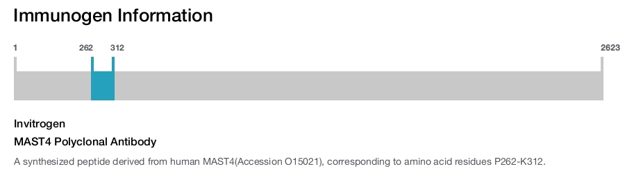 MAST4 Polyclonal Antibody