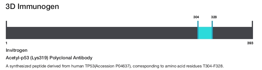 Acetyl-p53 (Lys319) Polyclonal Antibody